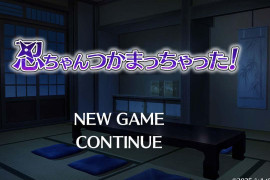 小忍被抓到啦！DL正式版 [PC+安卓]