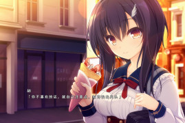 Pieces 候鸟的梦 精翻汉化版+全CG存档