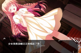神圣吸血鬼 汉化版+全存档