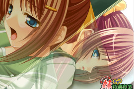 妹妹特别授课/校内えっち 妹孕ませ特別授業