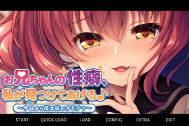 我会帮你找到的从今天开始我就是妹妹的玩具 汉化版+存档