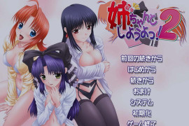 姐姐，拜托你认真一点！2 汉化版+全存档