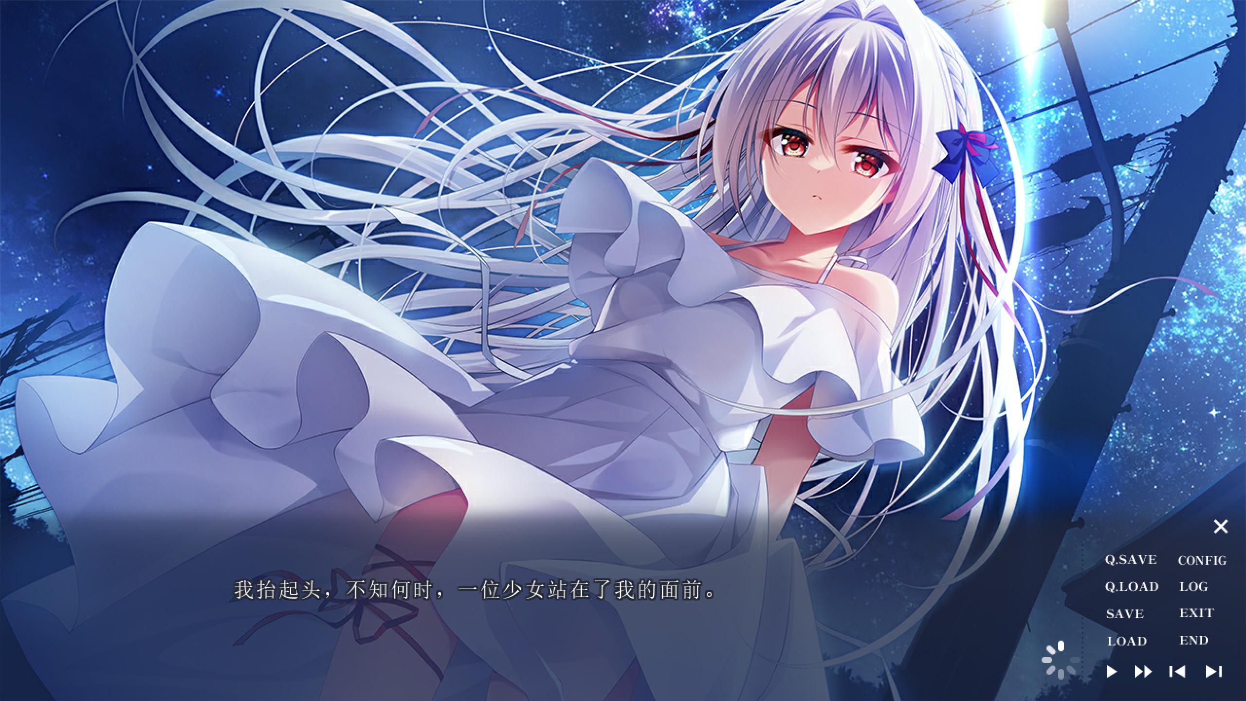 流星 A wish star (4).jpg